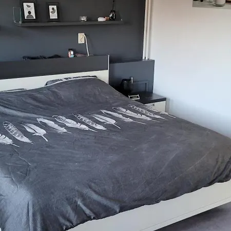 Casa De Egmonden Tatil Evi